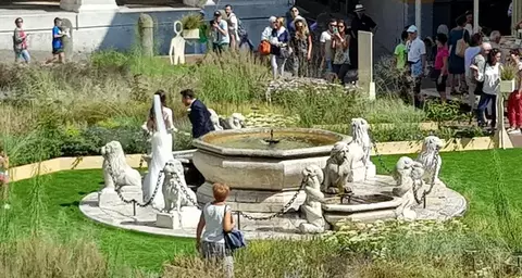 Zielone płuca miast.webp